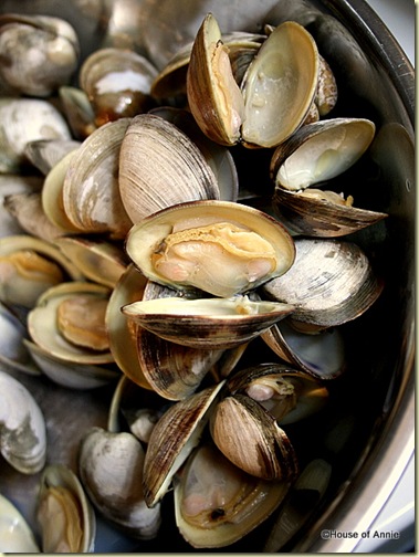  Steamed Clams for Cioppino