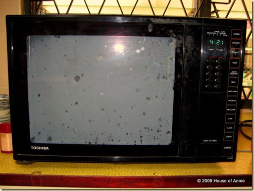 Toshiba combination microwave convection oven