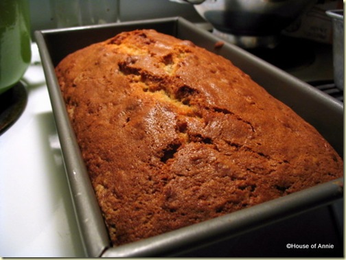 dutch apple bread baked