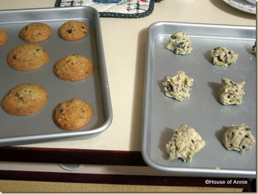 baked and unbaked dirt cookies