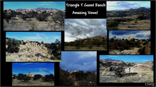 Triangle T Ranch Dragoon, AZ1