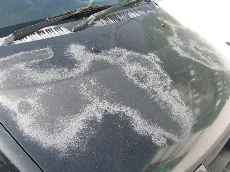 Vibrant Would Car Wash Damage Paint Scene Illustration