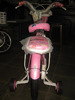 3 Sepeda Anak EVERBEST Sweet Girl - Dop