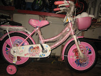 1 Sepeda Anak EVERBEST Sweet Girl - Dop