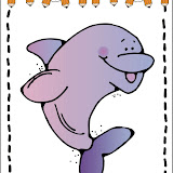 dji_dolphin.jpg