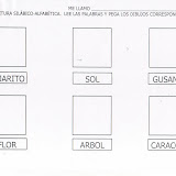 primavera02.jpg