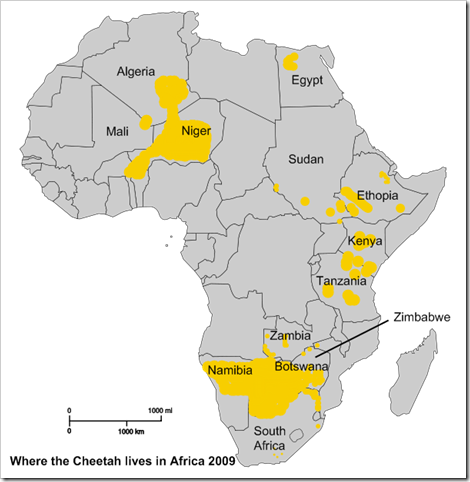 Cheetah-Range-IUCN-Red-List-Africa-1