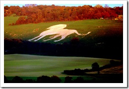 Chalk lion Whipsnade lion pictures by Today is a good day