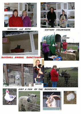 kays Hill Animal Sanctuary