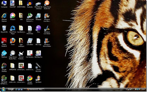 Cantor Gallery: desktop wallpaper tiger