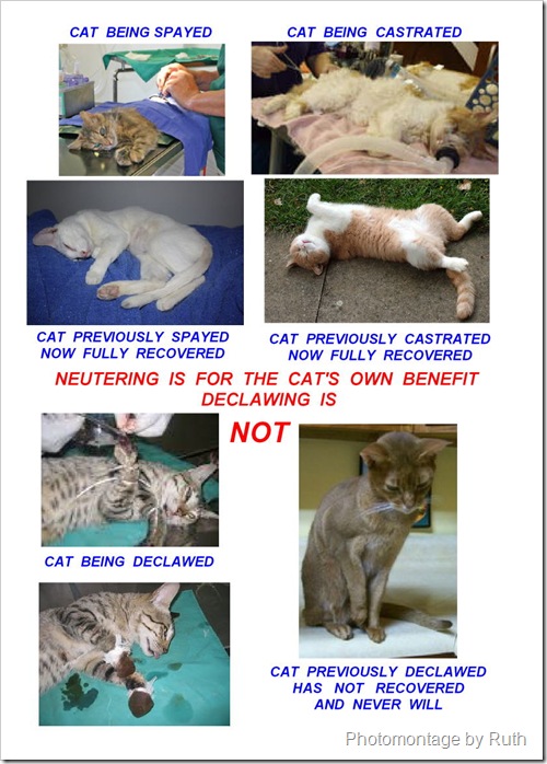 poster neuter declaw poster neuter declaw