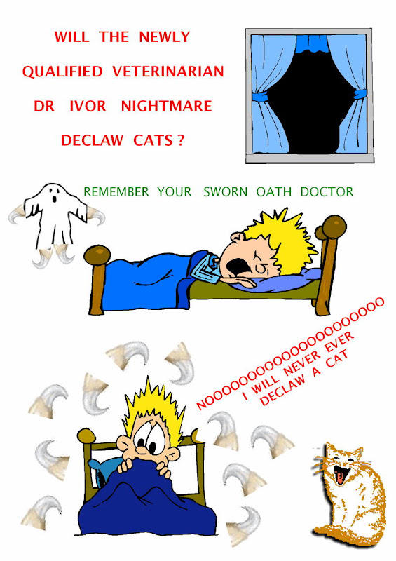 cat declawing nightmare