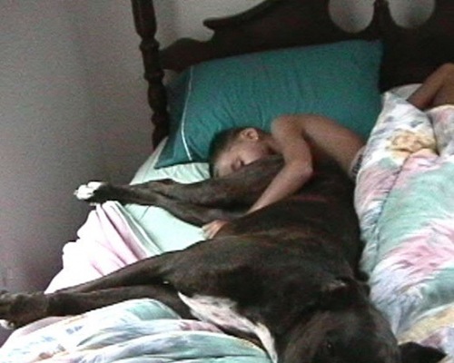 sleeping with dogp-12