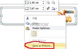 save as picture - word 2010 - vmancer