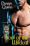 Soul of the Wildcat by Devyn Quinn