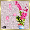 orchid_288888998108 orchid_288888998108