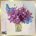 orchid_612121212121313121412 orchid_612121212121313121412