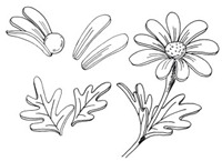 flores de arcilla (4)
