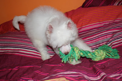 20091212_06.jpg