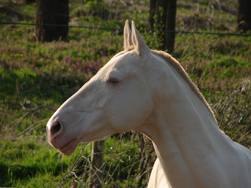 DSC02236.JPG