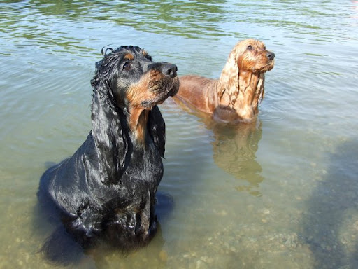 2009_06170186.jpg