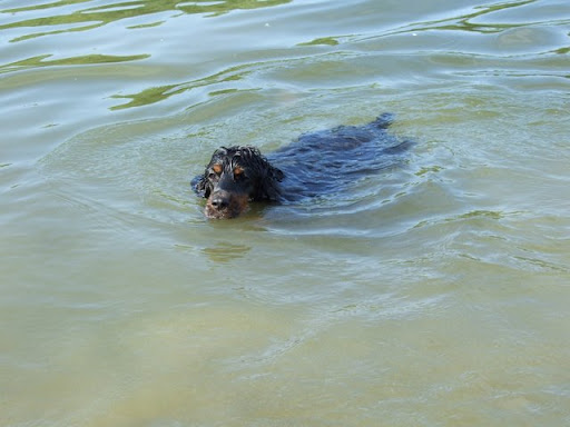 2009_06170167.jpg