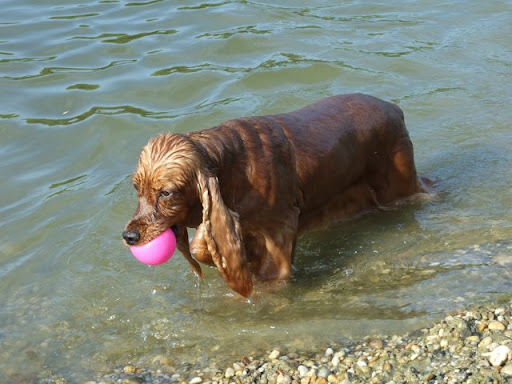 2009_06170163.jpg