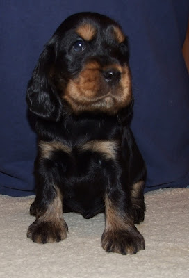 K%C3%A9p%20050.jpg