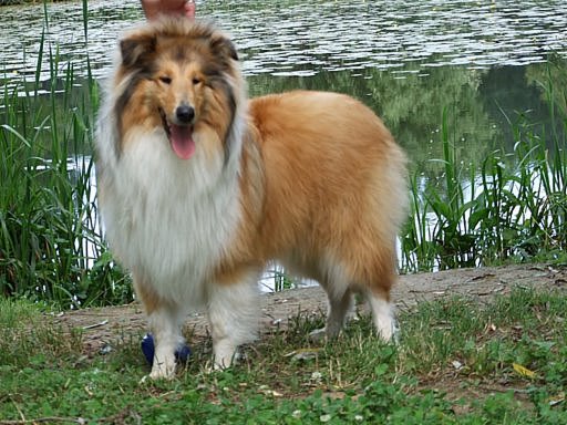 2009_07060455.JPG
