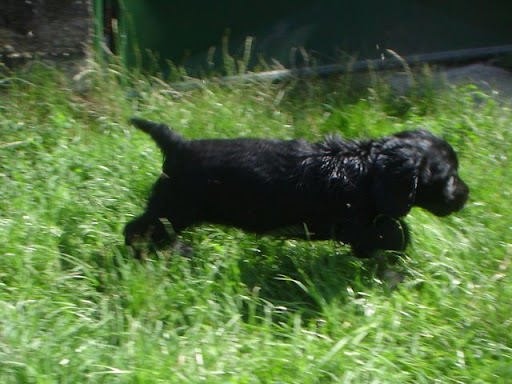 DSC00057.JPG