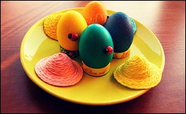 Eggs 06