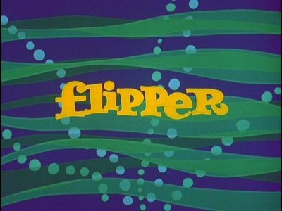 [flipper13.jpg]