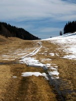 Sneg se tudi nad tisoč metri hitro tali