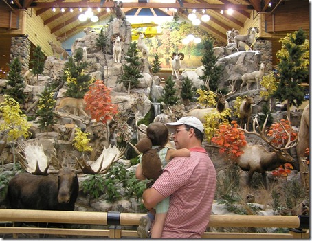 Cabelas Sporting Store