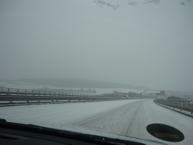 P1050815.JPG