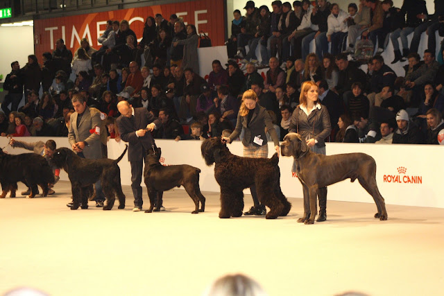 exp%C3%B2%20milano%20%2710%20119.jpg