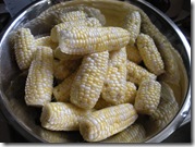 Corn 002