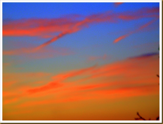 DSCF0263 DSCF0263