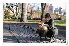 Public Garden - Ducklings