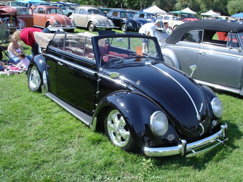 Image may have been reduced in size. Click image to view fullscreen.
