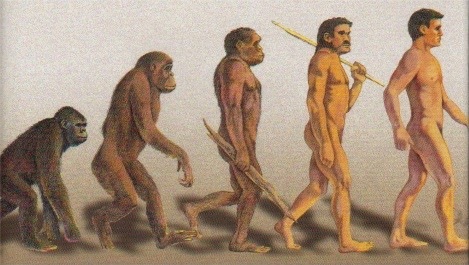 [Humans Evolved From Apes[3].jpg]