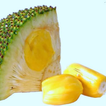 jackfruit