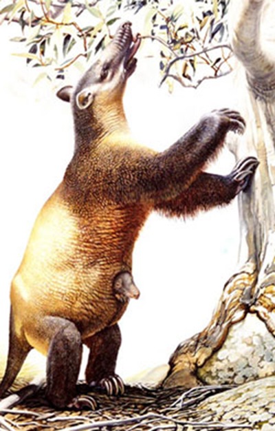 Tasmanian-megafauna-pictue