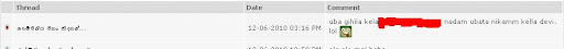 ScreenHunter_01%20Dec.%2006%2016.00.jpg