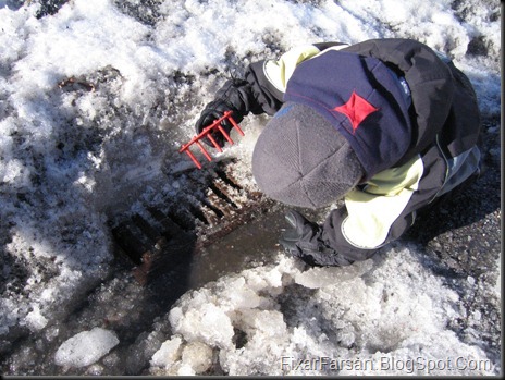 hackar bort is från Gatubrunn våren 2011