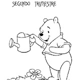Segundo Trimestre infantil