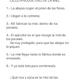 Miel texto