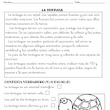 LA TORTUGA-1