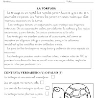 LA TORTUGA-1