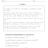 LA NIEBLA-1